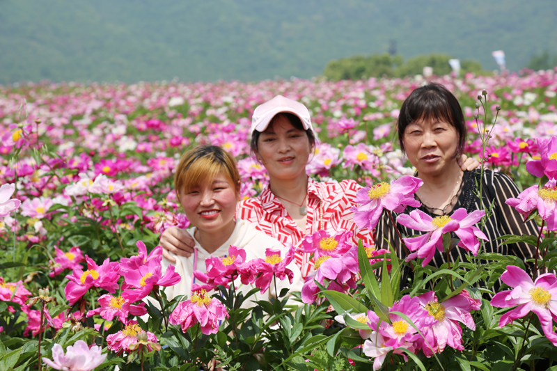 幸福97622娱乐电子游戏-让97622娱乐电子游戏一起相约美好 看繁花似锦
