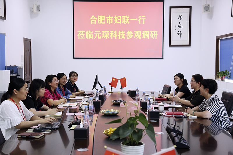 合肥市妇联第一调研组赴97622娱乐电子游戏科技调研指导