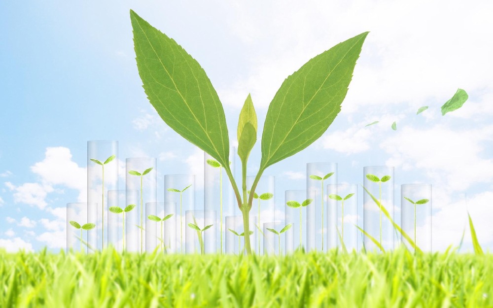 生物质发电厂如何除尘？